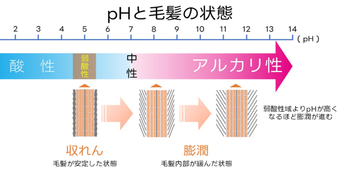 pHと毛髪の状態